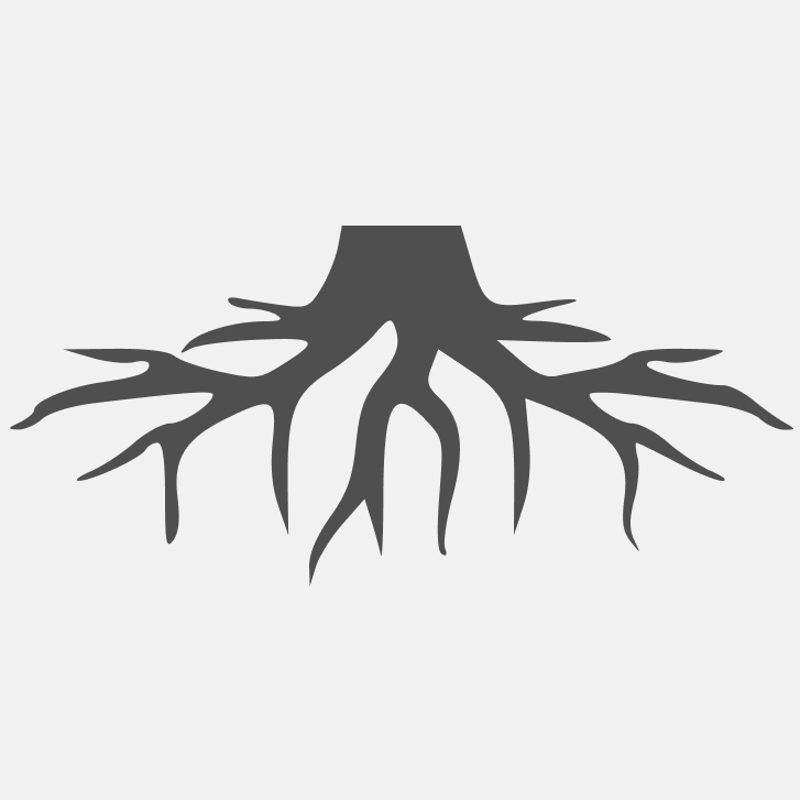 корневище в упаковке с грунтом