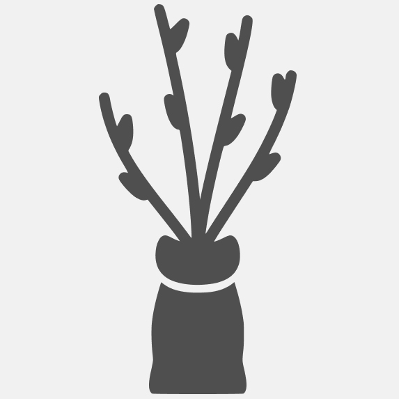 привитой саженец (корни в брикете с грунтом)