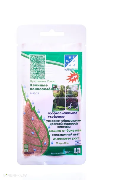 Нутривант Плюс Хвойные вечнозеленые 0-36-24