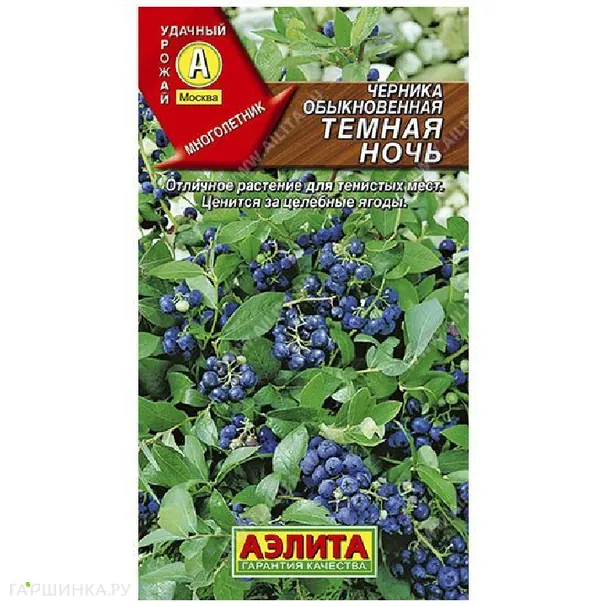 Черника Темная ночь 0,01гр ЦП