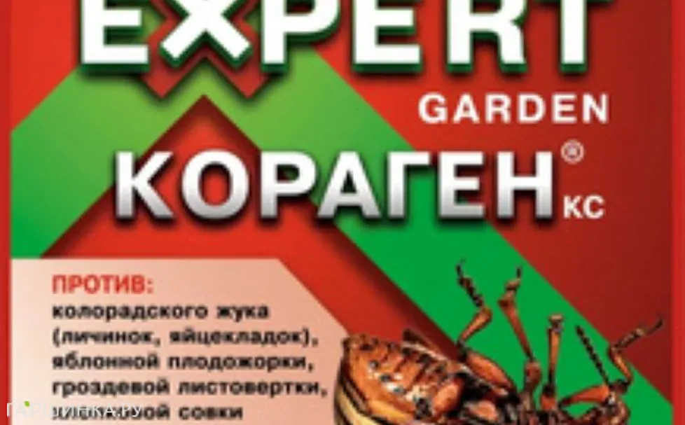 КОРАГЕН, КС