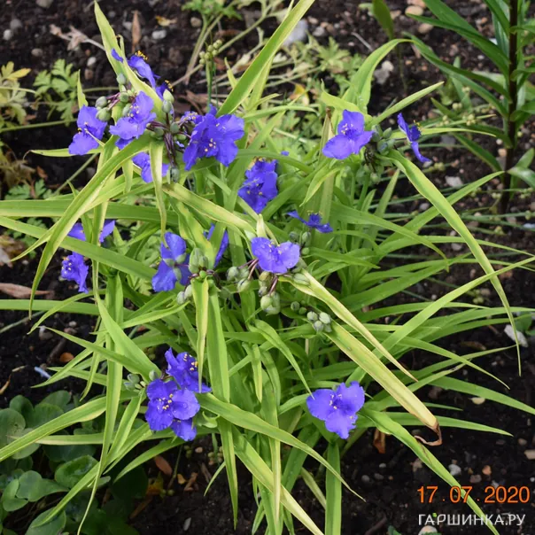 превью изображения отзыва