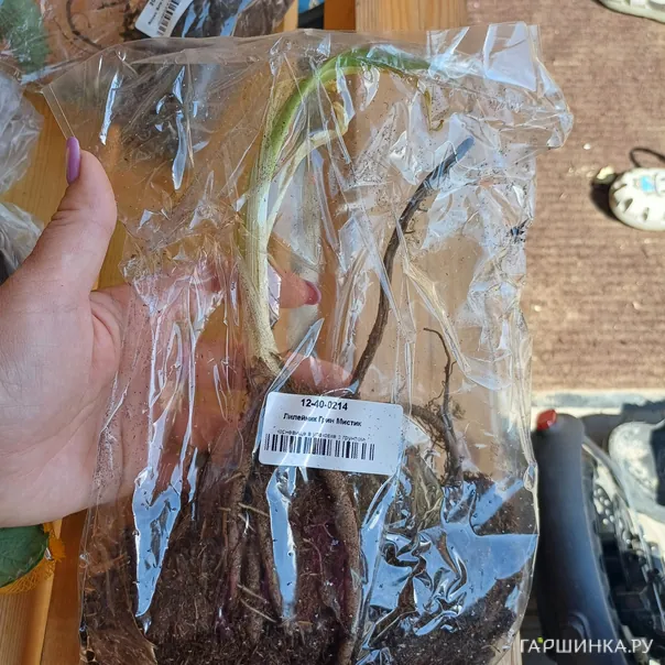 превью изображения отзыва