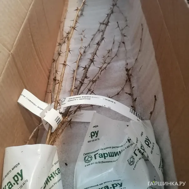 превью изображения отзыва