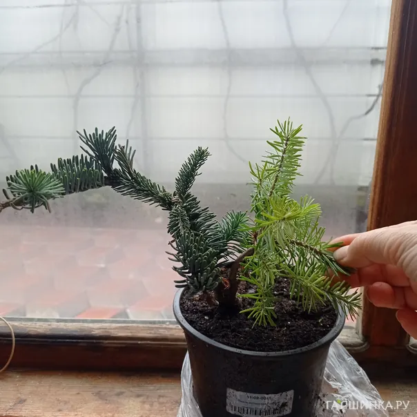 превью изображения отзыва