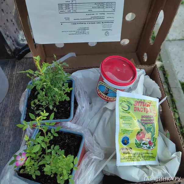 превью изображения отзыва