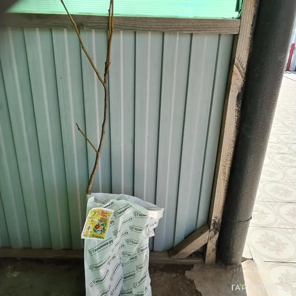 превью изображения отзыва