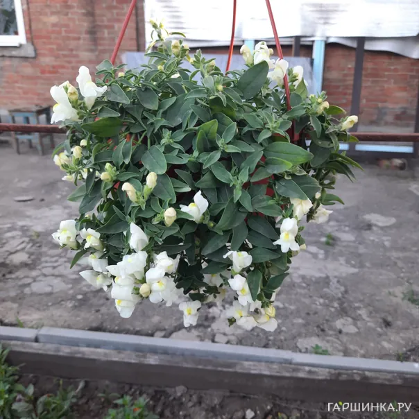 превью изображения отзыва