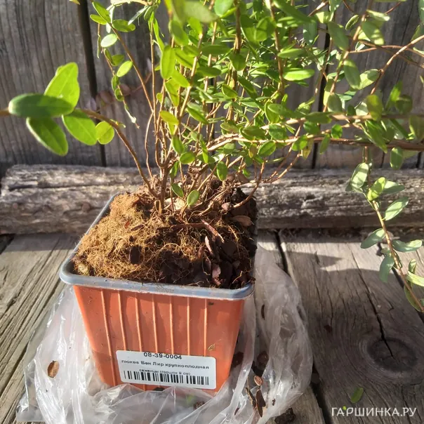 превью изображения отзыва