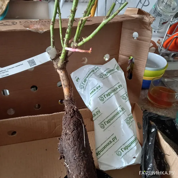 превью изображения отзыва