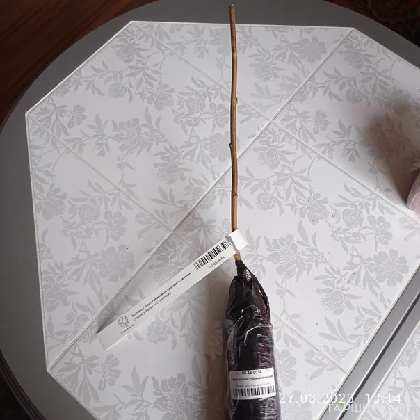 превью изображения отзыва