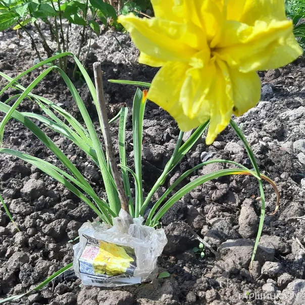 превью изображения отзыва