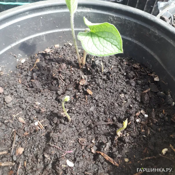 превью изображения отзыва