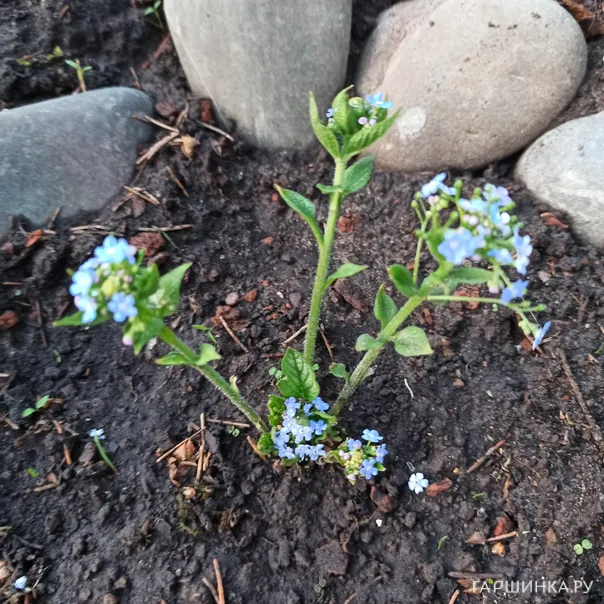 превью изображения отзыва