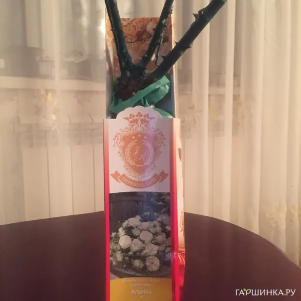 превью изображения отзыва