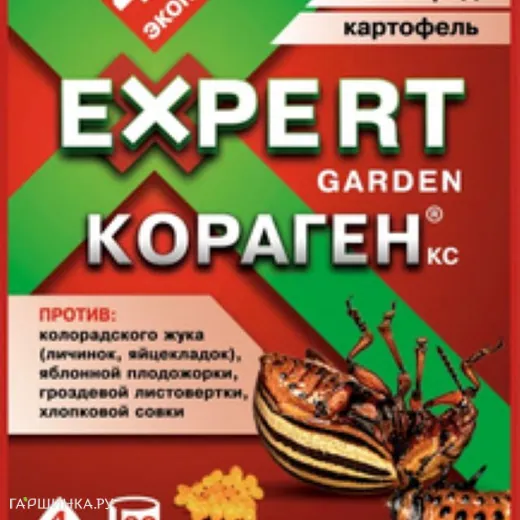 КОРАГЕН, КС