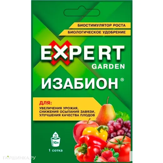 Изабион, КС